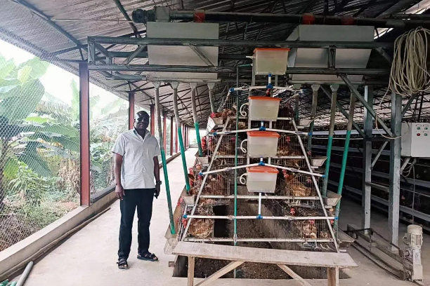 poultry farming in Guinea